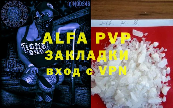PSILOCYBIN Богданович