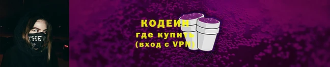 дживик Богородицк