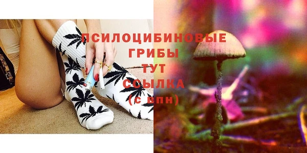 дживик Богородицк