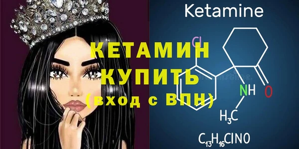 дживик Богородицк