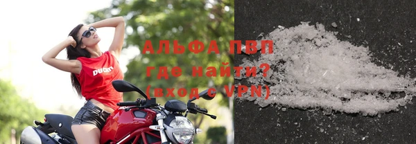 PSILOCYBIN Богданович
