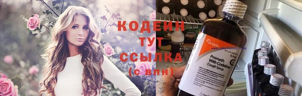дживик Богородицк