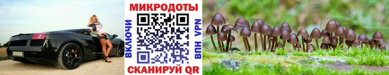 OMG зеркало  Дубна  Галлюциногенные грибы прущие грибы 